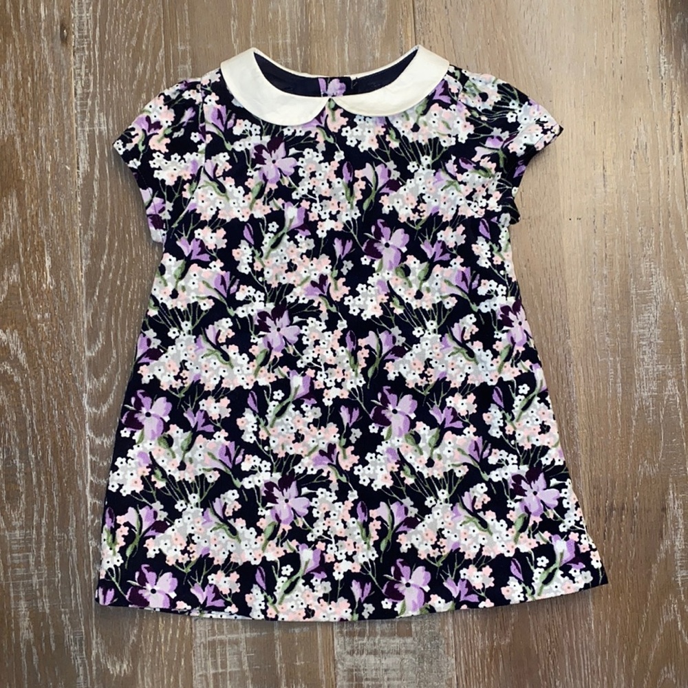 Janie and Jack Velour Floral Dress
